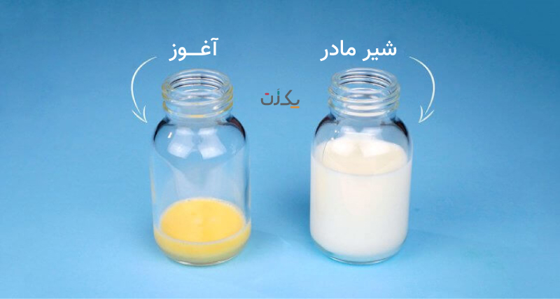 تفاوت آغوز و شیر پس از آن