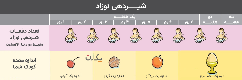 تعداد دفعات شیردهی نوزاد در روز