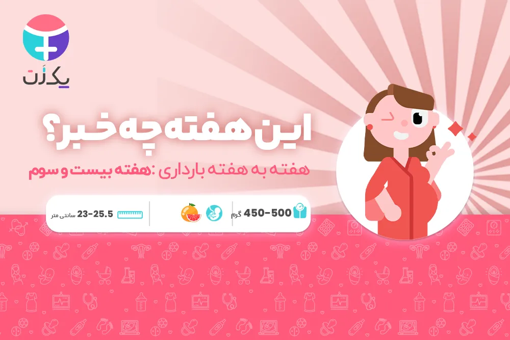 هفته بیست و سوم بارداری