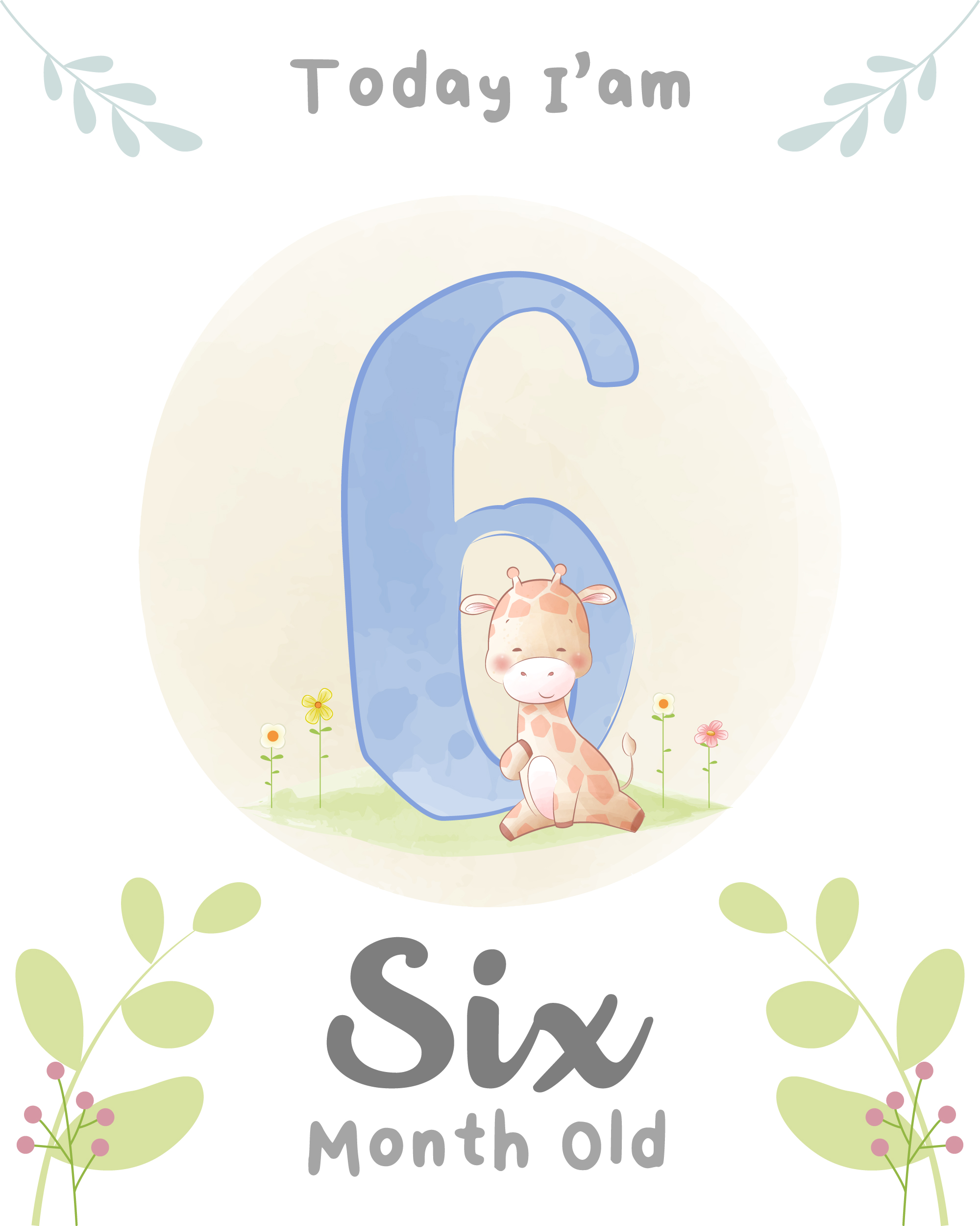 ماه ششم رشد کودک شیرخوار