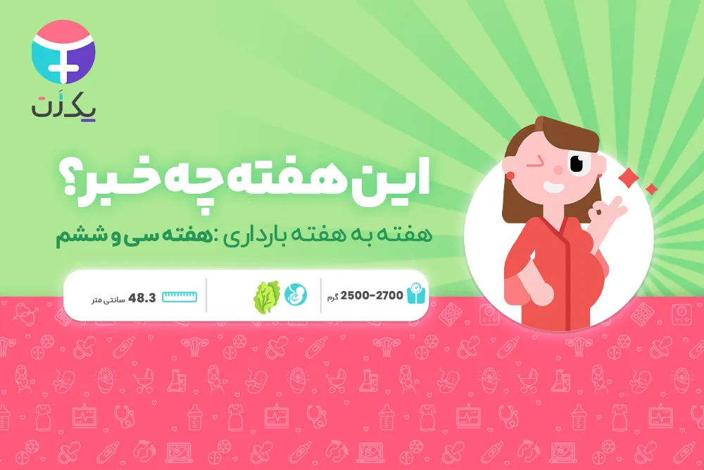 هفته سی و ششم بارداری