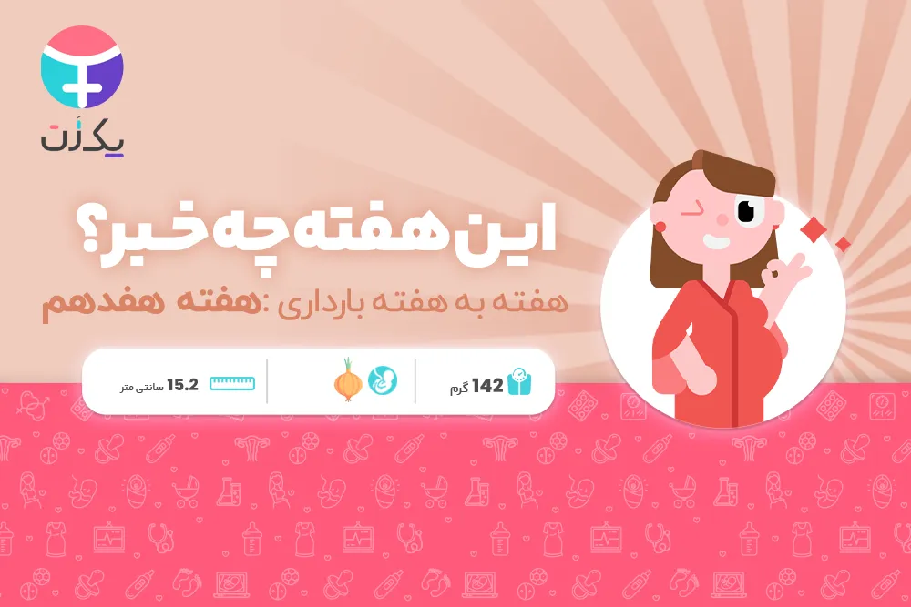 هفته هفدهم بارداری