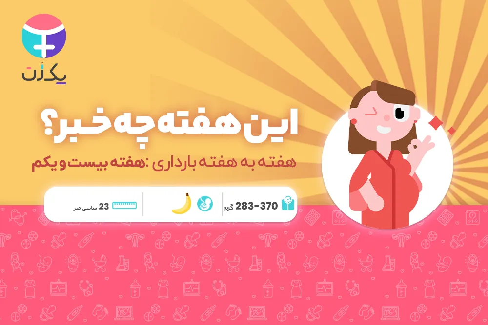 هفته بیست و یکم بارداری