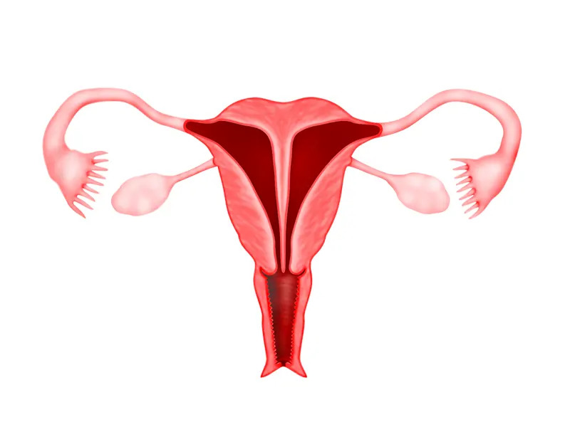 کیست سپتوم دار