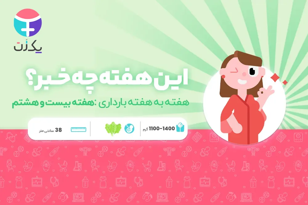 هفته بیست و هشتم بارداری