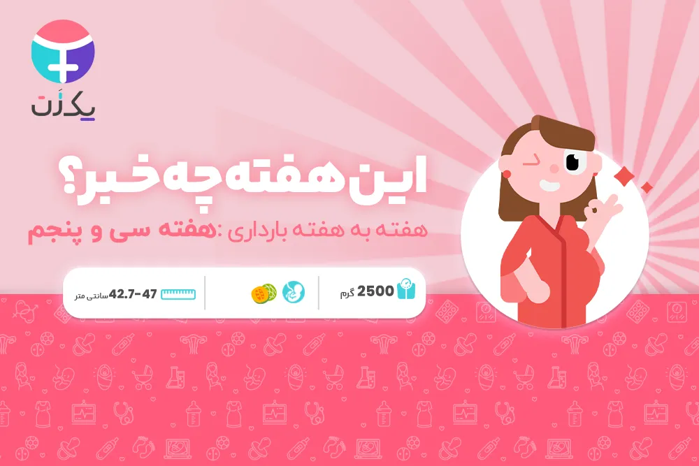 هفته سی و پنجم بارداری