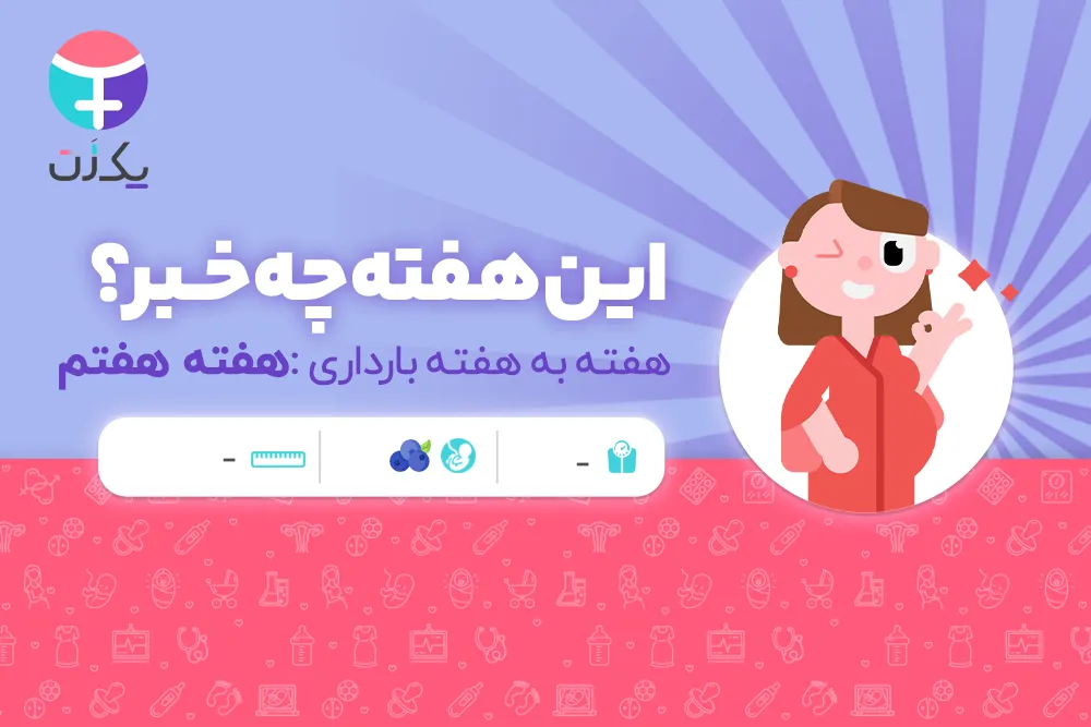 هفته هفتم بارداری