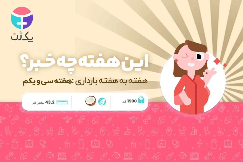 هفته سی و یکم بارداری