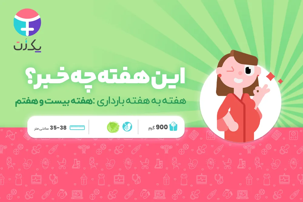 هفته بیست و هفتم بارداری