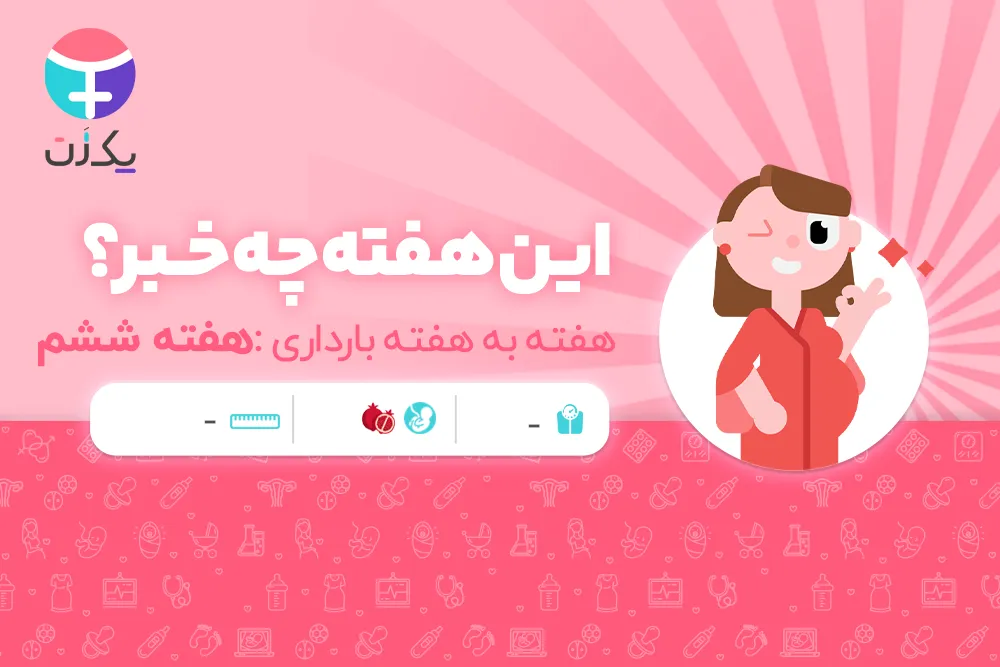 هفته ششم بارداری