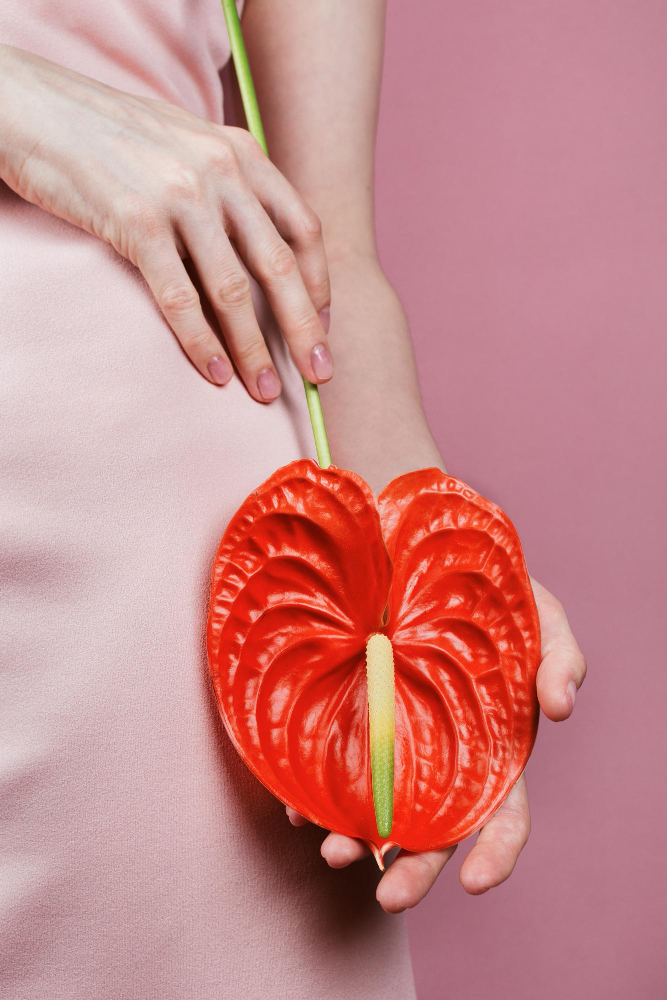 آنچه باید در مورد دستگاه تناسلی زنان بدانید(به همراه عکس)