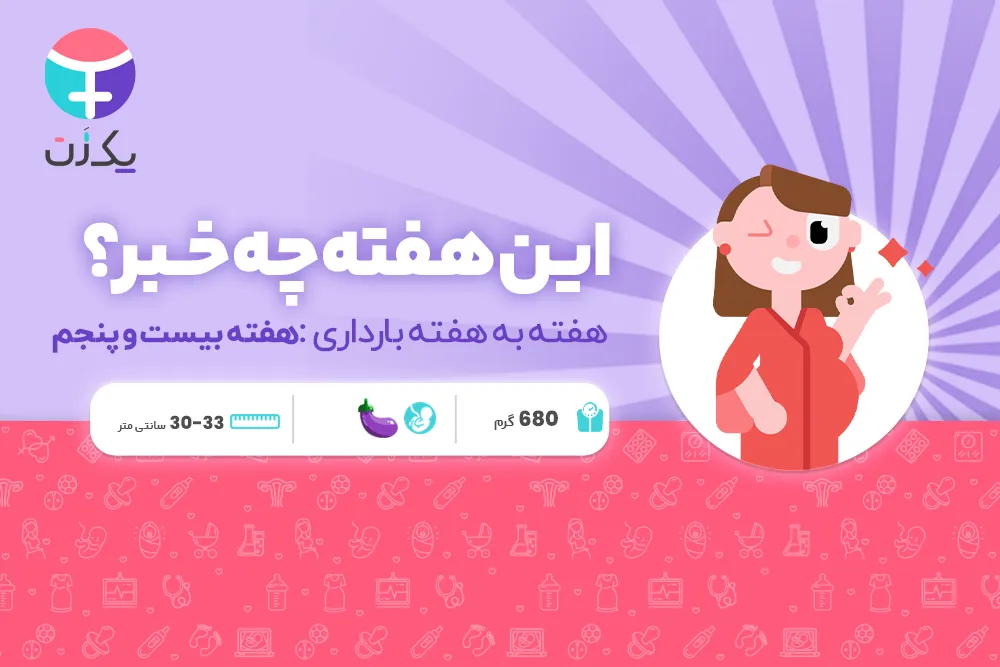 هفته بیست و پنجم بارداری