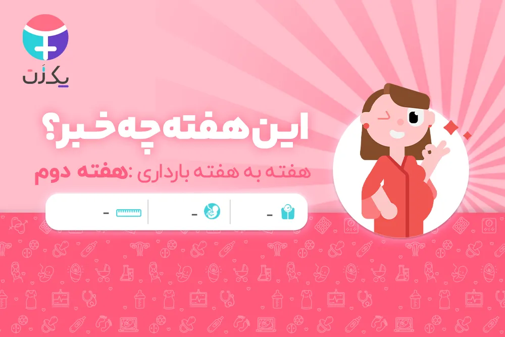 هفته دوم بارداری