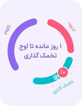 تقویم قاعدگی